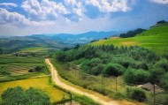 助力乡村振兴，丽水蓝平信息技术咨询，助力乡村振兴的创新模式！
