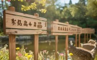 沭阳小鹿房产信息咨询服务