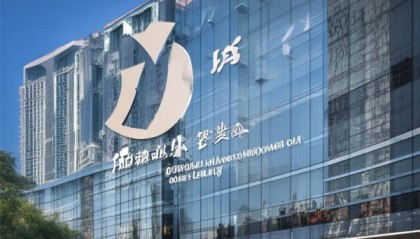 重庆-广东嘉信息技术咨询有限公司