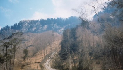 莫氏文化，莆田市感恩教育信息咨询服务的塑造者