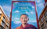 保障数字时代居民权益，提供信息咨询服务电话服务