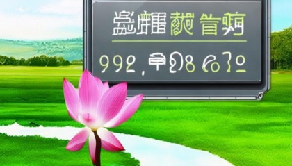 莲江区壹肖信息咨询服务电话，助力发展