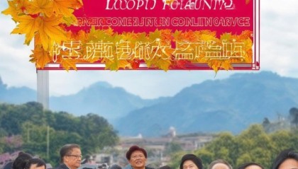 洛浦县枫桥信息咨询服务，助力洛浦发展，服务市民