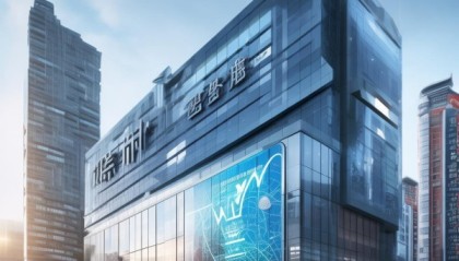 昭辉信息咨询服务，优势与挑战