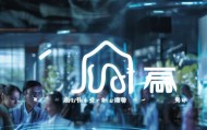 百之音，信息技术咨询领域的领先机构