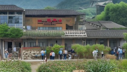 助力乡村振兴的高效信息咨询服务