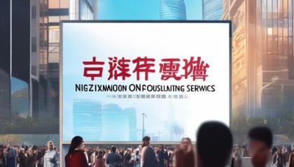 宁夏信息咨询服务市场，机遇与挑战