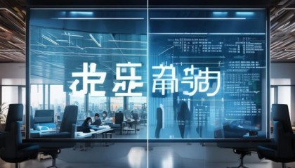 宇晨信息技术咨询，现状与挑战