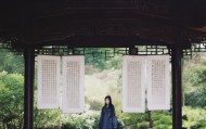 亭亭，亭亭的教训与信息咨询服务的启示