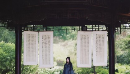 亭亭，亭亭的教训与信息咨询服务的启示