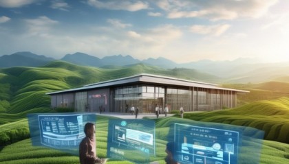 茶山信息咨询服务，助力企业数字化转型