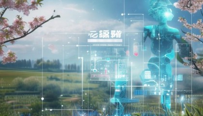 春雨信息技术咨询，助力甘肃发展