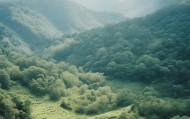 生态信息咨询服务助力绿色未来，助力 sustainable发展。