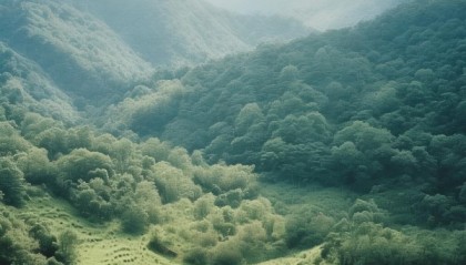 生态信息咨询服务助力绿色未来，助力 sustainable发展。