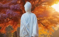 森瑜茜，信息咨询服务领域的权威解决方案