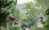 助力企业成功转型的安信咨询电话服务