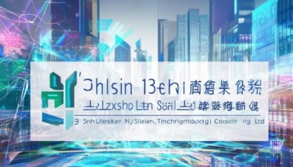 深圳市乐喜信息技术咨询有限公司助力企业数字化转型的伙伴