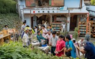 助力乡村振兴与经济发展的新引擎，竹南镇信息咨询服务的支持