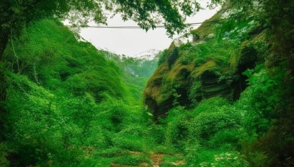 如皋大山，信息咨询服务领域的创新者，机遇与挑战