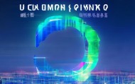 深圳青鸟信息技术咨询，引领未来