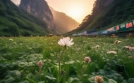 洞天独放花，美景共分享—张家界信息咨询服务助力现代生活