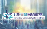 林州市向宇信息咨询服务助力经济发展，开启新机遇