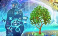 遂溪信息咨询服务，助力企业发展，开启未来！