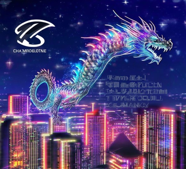 助力成都数字经济，开启未来新篇章，成都飞龙信息咨询服务公司使命与成就