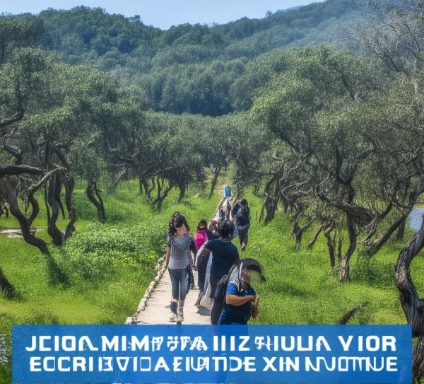 信息咨询服务的刺河之旅，忻州的数字文明之旅