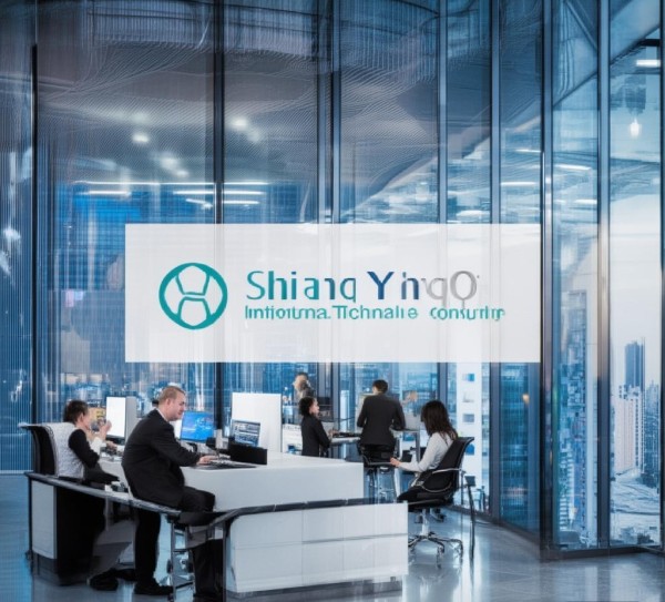 上海盈钦信息技术咨询,助力数字经济发展与创新 上海盈钦信息技术咨询,助力数字经济发展与创新