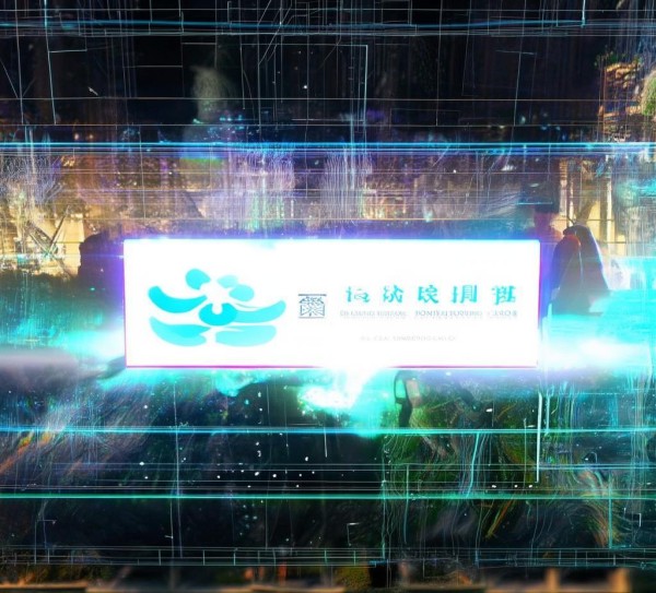 智创未来，重庆青囊信息技术咨询有限公司助力数字未来