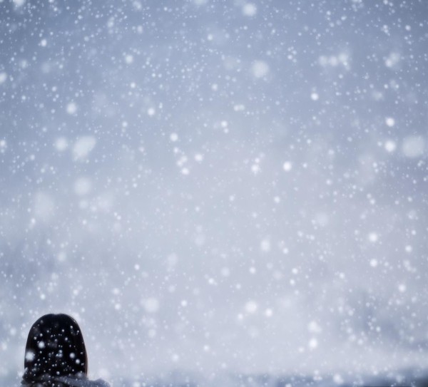 静待寒冬，静待雪后—倩姐信息咨询服务